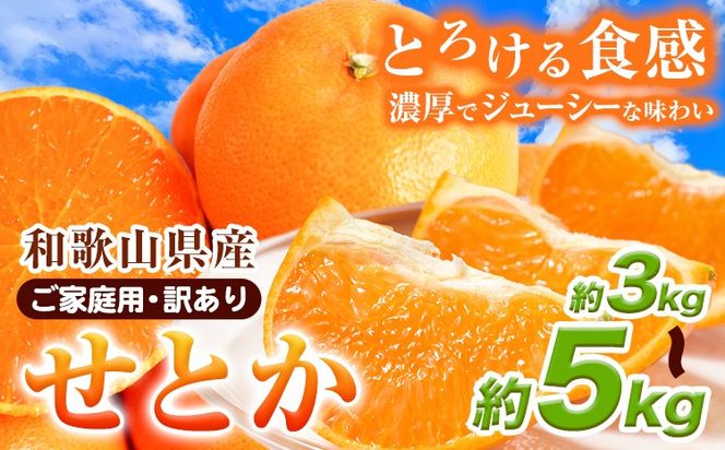 【先行予約】【家庭用 訳あり】とろける食感!ジューシー柑橘 せとか 約3kg 約5kg 株式会社魚鶴 《2026年2月上旬-3月中旬頃出荷》 和歌山県 日高川町 みかん 柑橘 果物 フルーツ 送料無料---wshg_uot106_2j3c_25_11000_3kg---