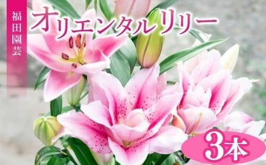 ユリ オリエンタルリリー 3本セット 花束 贈り物 ギフト プレゼント 誕生日 母の日 父の日 敬老の日 記念日 お祝い 結婚式 ウェディング ブーケ 華やか 大輪 香り 優雅 エレガント つぼみ ピンク 白 高級 切り花 福田園芸 花好き こだわり 栽培 メッセージカード ラッピング 安芸市 高知県