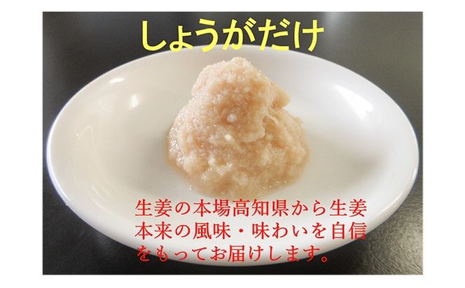 高知そだちのしょうがだけ（50g×10パック）