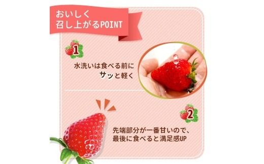《数量限定》紅白セット（とちあいか・ミルキーベリー） 270g×2パック 540g以上 ｜いちご イチゴ 苺 先行予約 栃木県 果物 くだもの フルーツ デザート とちあいか ミルキーベリー 新鮮 贈答 ギフト 食べ比べ ※2027年1月～発送