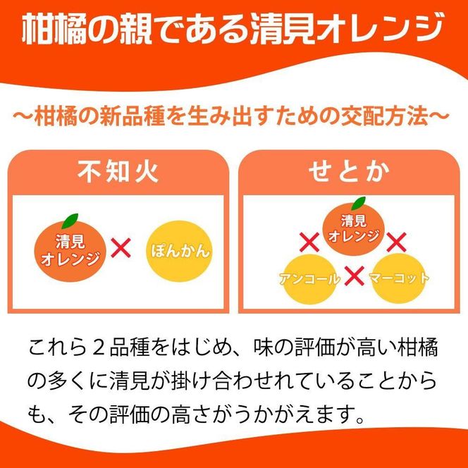 ［ご家庭用訳あり］紀州有田産清見オレンジ 約5kg［2027年3月下旬以降発送］［先行予約］［UT132w］AN058