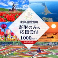 北海道湧別町 寄附のみの応援受付 1,000円コース（返礼品なし 寄附のみ 1000円）