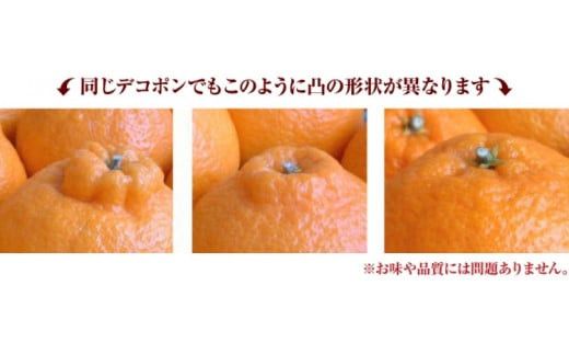 田村 産 「デコ」 不知火 2.8kg 春みかん (果実サイズおまかせ) / デコポン 不知火 みかん 蜜柑 柑橘 果物 フルーツ 紀伊国屋文左衛門本舗 ※2027年2月中旬～3月下旬頃に順次発送予定(お届け日指定不可) 【kmtb010-tar-2d8】