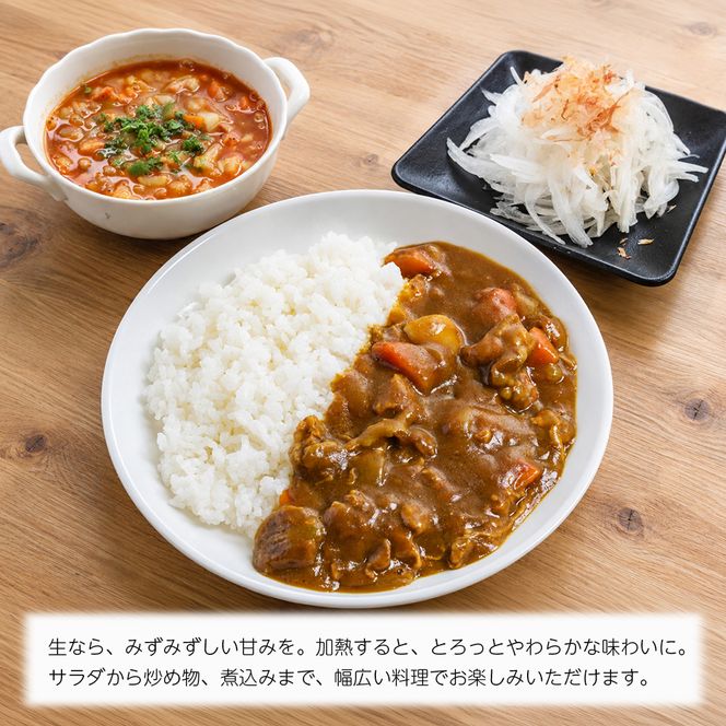 淡路島産たまねぎ10kg　玉ねぎ