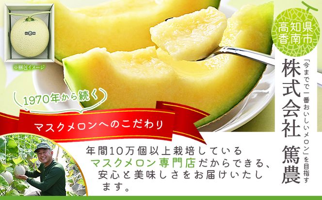 メロン 定期便【３回定期便】一果相伝マスクメロン 家庭用 1玉入り- めろん 青肉 自宅用 ジューシー 果汁 至福 美味しい 甘い あまい 篤農 産地直送 高知県 香南市 常温 Wtn-0038