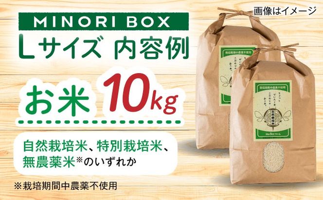 【全4回定期便】糸島産 肉 米 野菜 果物 厳選詰め合わせ MINORI BOX Lサイズ【季節ごとに年4回お届け】 糸島市 / emma.Inc / 米 肉 野菜 果物 詰め合わせ[AOP003] 米 こめ 肉 にく 野菜 やさい 果物 くだもの 糸島 詰め合わせ MINORI