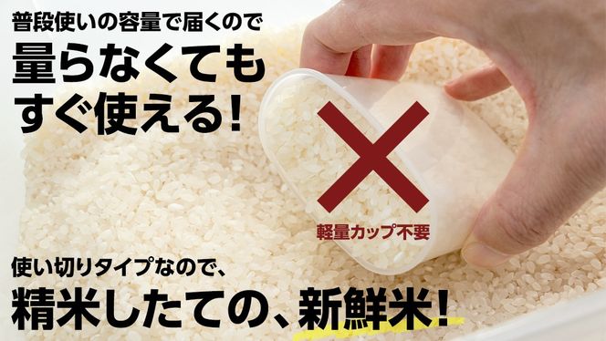 ＼ 最短翌日発送 ／【 お試しサイズ 】 コシヒカリ 150g 450g 600g 750g 令和7年産 茨城県産 お試し ♪ 3合 4合 5合 五つ星お米マイスター監修 ポスト投函 精米 茨城 お米 おこめ ごはん 白米 米 茨城産 こしひかり
