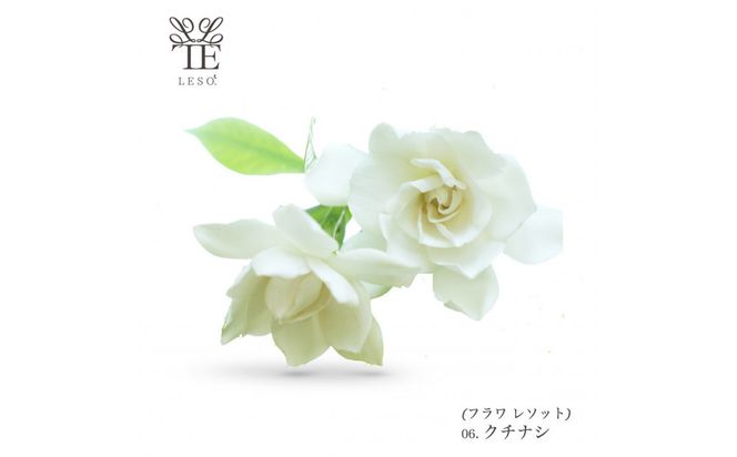 本物の花の香り リード・ディフューザー【クチナシ】 【 リード ディフューザー 花 香り 仙台市 アロマ インテリア フレグランス デザイン 室内 癒し 自然 空間 プレゼント ギフト エッセンシャルオイル リラックス 】 041009_HW001VC05