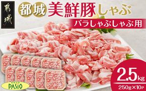 「都城美鮮豚」バラしゃぶ2.5kg_AC-5402_(都城市) 豚肉 ブランド豚 都城美鮮豚 銘柄豚 豚バラしゃぶしゃぶ肉 250g×10パック 2.5kg 炒め物 丼もの