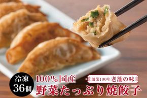 餃子 宮崎 上海花園 特製餃子 36個 [サニーガーデン 宮崎県 日向市 452061171] ぎょうざ 冷凍 おかず おつまみ 惣菜 ご飯のお供 小分け 個包装