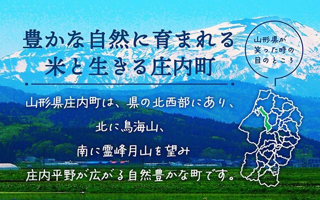 【令和8年産】庄内町産 特別栽培米 つや姫 10kg 5kg×2袋 余目産 余目町農協 あまるめ ブランド米 米 国産 単一原料米 山形 庄内平野 庄内