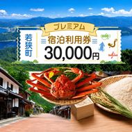 旅行 プレミアム 宿泊 利用券 30,000円分 1枚 ホテル 旅館 温泉 温泉宿 旅行券 宿泊券