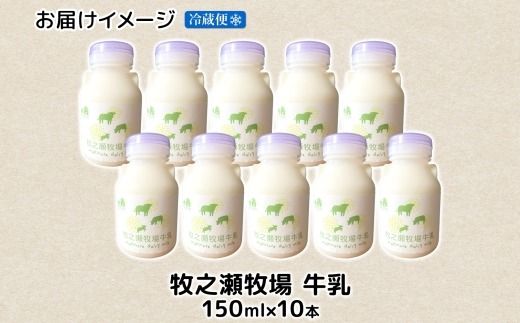3454. 牧之瀬牧場 牛乳 150ml × 10本 牛乳 牛 乳 みるくミルク ノンホモジナイズド牛乳 脂肪 放牧 濃厚 搾りたて 甘い クリーミー さっぱり 牛耳ボトル 可愛い ギフト 冷蔵 牧之瀬牧場 北海道 弟子屈町
