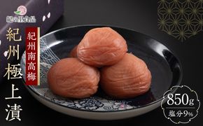 紀州南高梅 紀州極上漬 850g×1箱 ［Kn1］ 303446_CQ001