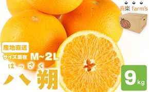 【産地直送】☆八朔☆サイズ混載（M～２L）☆9kg 	AL08