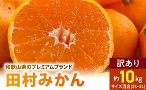 AB7300_ 【2026年先行予約】ご家庭用 田村みかん サイズ混合(2S～２L) 約10kg わけあり 訳あり 不揃い 和歌山プレミアムブランドみかん 小玉 中玉 大玉 蜜柑 ミカン フルーツ 果物
