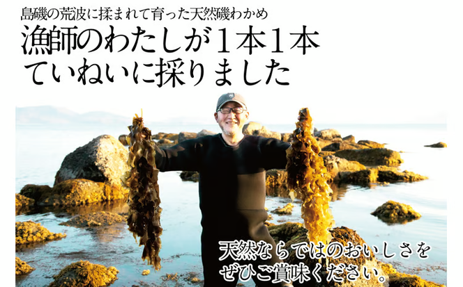 風味豊かな 瀬戸内 わかめ 22g×6袋 エビス水産【岡山 瀬戸内海 天然 カットわかめ】