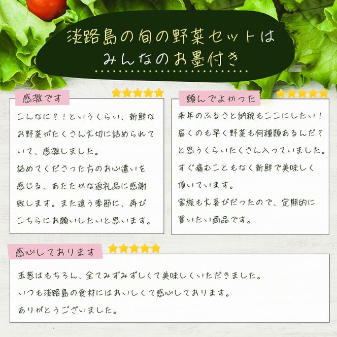 淡路島の旬の野菜セット（10～15種類程度）　野菜詰め合わせ