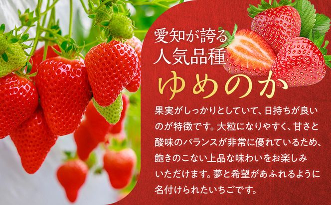 こだわり栽培 いちご 【食べ比べ】 約1kg はるひ＆ゆめのか(各2パック)【2026年1月下旬～2026年4月末までお届け】 232238_DS009