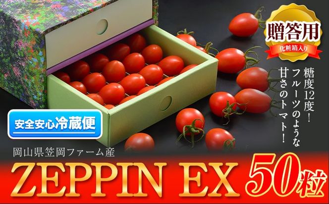 ZEPPIN EX(エクセレント) 50粒 化粧箱入り (贈答用) 500g 《120日以内に出荷予定(土日祝除く)》平均糖度12度 甘い フルーツトマト 贈答 ---C-36a---