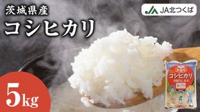 【 JA 北つくば 】 茨城県産 コシヒカリ 5kg 令和6年産 農協 米 お米 白米 コメ こしひかり 茨城県 精米 新生活 応援 [AE026ci]