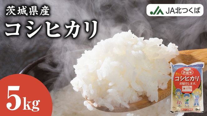 【 JA 北つくば 】 茨城県産 コシヒカリ 5kg 令和6年産 農協 米 お米 白米 コメ こしひかり 茨城県 精米 新生活 応援 [AE026ci]