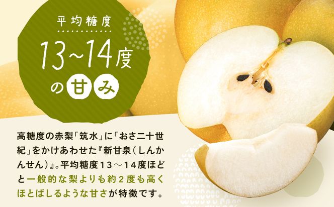 新甘泉梨 3kg箱(約6～10玉) 312011_BU005