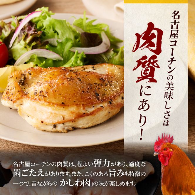 名古屋コーチン　むね肉1.2kg大満足セット［001T11］
