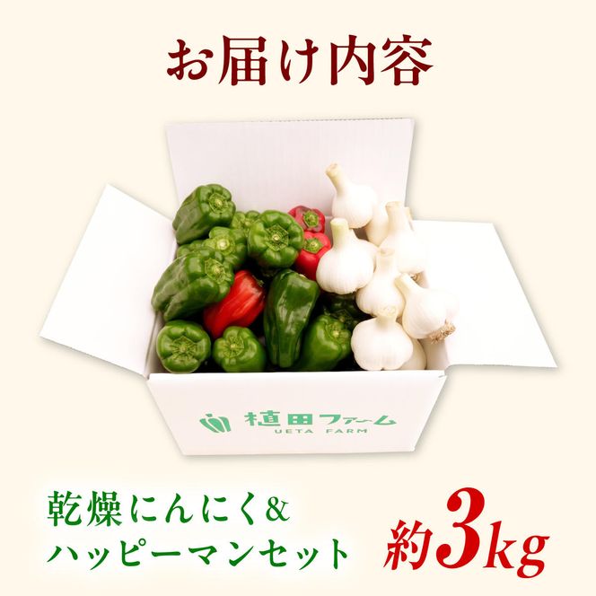 【先行予約】平戸にんにく＆ハッピーマンセット 約3kg〈2026年10月～11月末頃発送〉 ニンニク 自然乾燥平戸にんにく ピーマン 野菜 やさい おかず 副菜 お弁当 新鮮 おいしい 採れたて 国産 訳あり 高知県 土佐市【株式会社植田ファーム】[BQAT010]