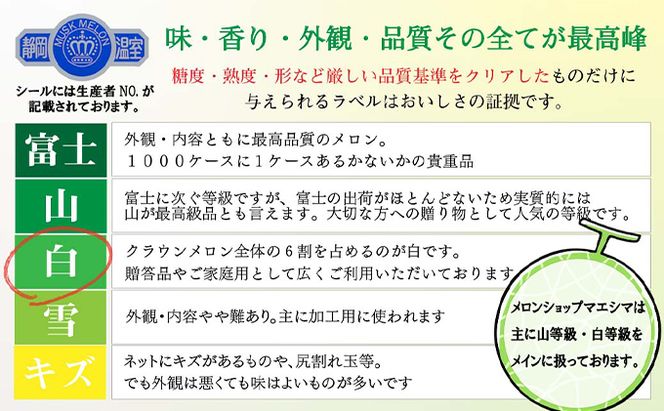 クラウンメロン【並（白等級）】中玉（1.3kg前後）6玉入り 人気 厳選 ギフト 贈り物 デザート グルメ 果物 袋井市 果物類 メロン青肉 フルーツ