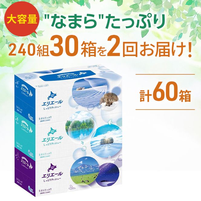 【2回お届け 計60箱】エリエール 北海道 しっとりティシュー なまらたっぷり 240組3箱 10パック ふるさと納税限定デザイン ボックスティシュー 箱ティッシュ ペーパー 備蓄品 花粉 保湿成分 グリセリン配合