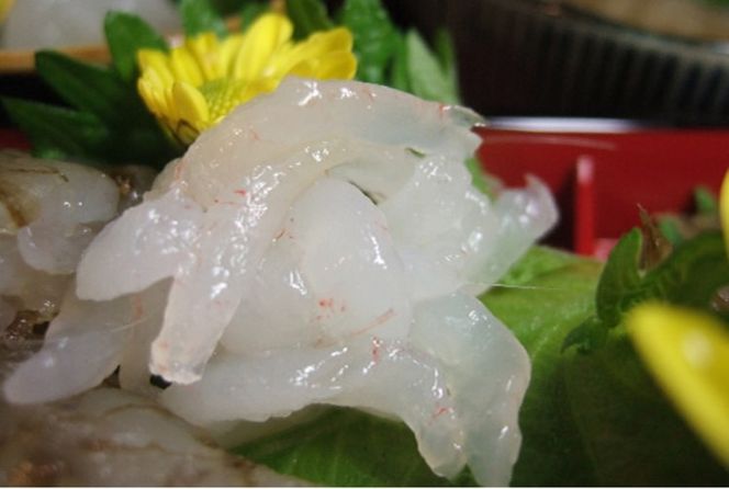 シロエビの刺身200g×2