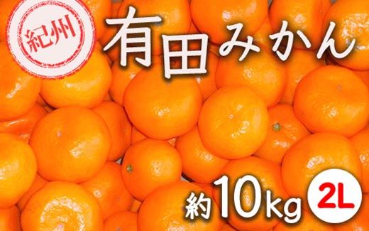 【先行予約】【秀品】有田みかん 約10kg（2L サイズ）和歌山県産｜みかん ミカン 和歌山 由良 フルーツ 果物 柑橘 和歌山県産 お取り寄せ 人気 