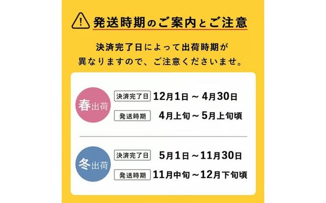 【訳あり・数量限定】牧さんの訳ありメロン 赤玉・白玉 計2玉(赤肉・青肉 各1玉) b0-104