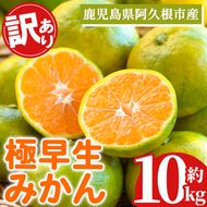 ＜先行予約受付中！2026年9月中旬以降順次発送予定＞ 訳あり！極早生みかん(約10kg) 国産 みかん 極早生 早生 柑橘 果物 フルーツ デザート 果実 期間限定 数量限定 【古田果樹園】akn093-11