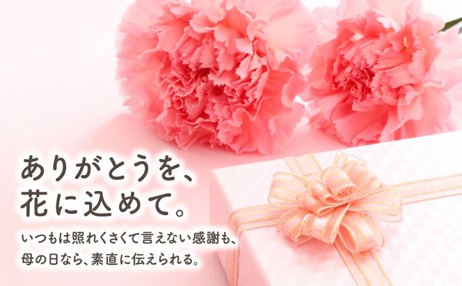 ＼先行受付 令和8年5月10日の母の日お届け：5月6日(水) 決済完了分まで！／ クレマチス 「 白万重 」 5号鉢 ラッピング付き 母の日直前にお届け 2026年 お母さんへの心を込めた贈り物 長持ち 鉢植え フラワーセット プレゼント 送料無料 故郷納税 福島県 田村市 フローラハシモト