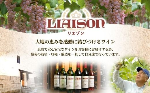 赤ワイン Liaisonリエゾン マスカット・ベーリーA 720ml×1本 フルボトル 辛口 ミディアムボディ 日川中央葡萄酒 山梨県 笛吹市 177-7-4