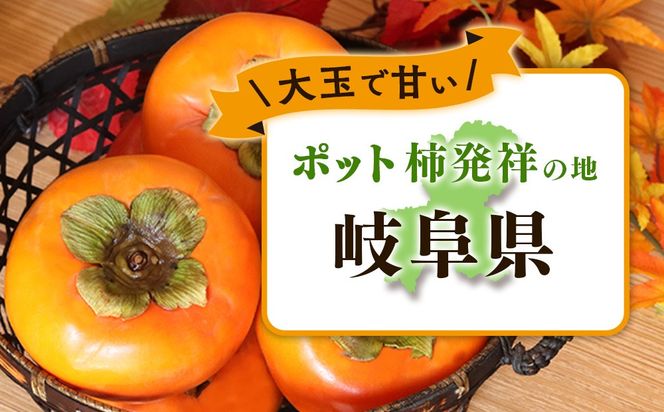 【先行予約】こだわり栽培ポット柿（早秋柿） 2Lサイズ12個入り | 柿 かき カキ 早秋柿 早生品種 甘い ジューシー フルーツ くだもの 果物 秋の味覚 おやつ スイーツ 産地直送 先行 予約 送料無料 岐阜県 瑞穂市 ※離島への配送不可  ※2026年10月中旬～11月上旬頃に順次発送予定