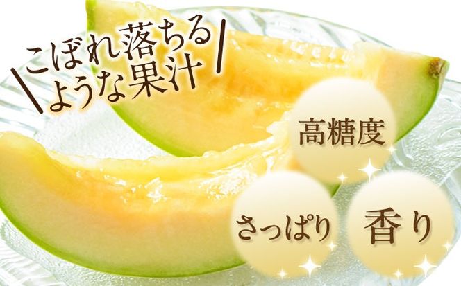 【2026年4月下旬～発送】【根強い人気！】 プリンスメロン 3箱 セット （1箱 7～13玉）/ メロン 南島原市 / 南島原果物屋 [SCV007]