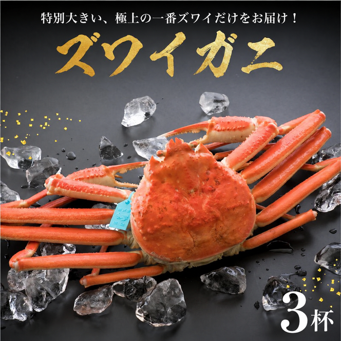 【味覚の王様加能ガニ・姫丸の一番ズワイガニ】11-12月配送 1番ズワイ 茹で上げ後約1.0kg× 3杯