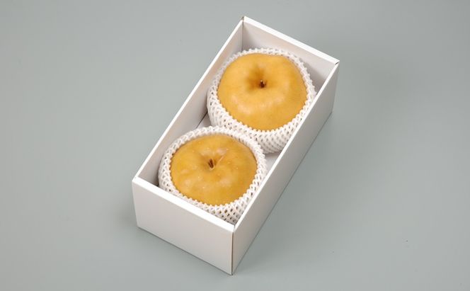 梨 2027年 先行予約 あたご梨 2玉 約1.6kg ナシ なし 岡山県産 国産 フルーツ 果物 直送！せとうちバスケット