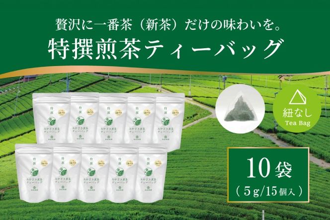 お茶 ティーバッグ 特撰 みやざき煎茶 10袋 セット [谷岩茶舗 宮崎県 日向市 452061736] ティーパック 茶 茶葉 緑茶 新茶 お茶の葉
