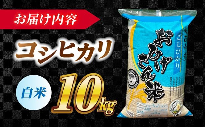 ＼2026年1月発送分／ コシヒカリ 白米 10kg / 脇野コンバイン[AECP022-5]