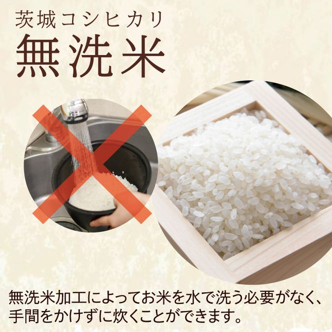令和8年産 新米 無洗米 茨城 コシヒカリ 10kg (5kg×２袋) 米 お米 おこめ 白米 ライス ご飯 精米 こしひかり 国産 茨城県産