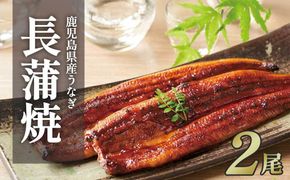 ふるさと納税限定　鹿児島県大崎町産 国産 うなぎ長蒲焼 2尾 計320g以上 | 鰻 うなぎ蒲焼き うな重 ひつまぶし ウナギ 蒲焼 人気 おすすめ 鹿児島 大隅半島 DU001　 464686_DU001