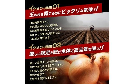 【予約：2026年9月上旬から順次発送】JAきたみらい産 玉ねぎ Lサイズ 20kg ( タマネギ たまねぎ 野菜 )【210-0004-2026】