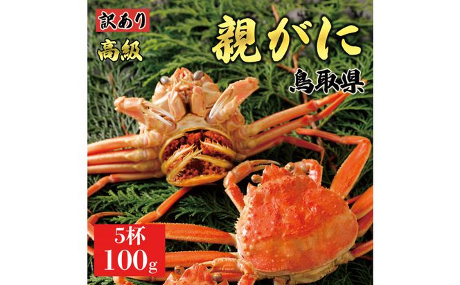 y挧khz1071.y2025N11z挧Y  e pyZRKjzi䥁jy󂠂z100g 5t 313726_BS079