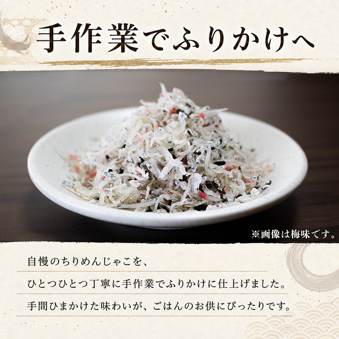 ちりめんじゃこ ふりかけ 鮭 計200g 100g×2パック 南知多篠島産 大一商店 愛知県 南知多町