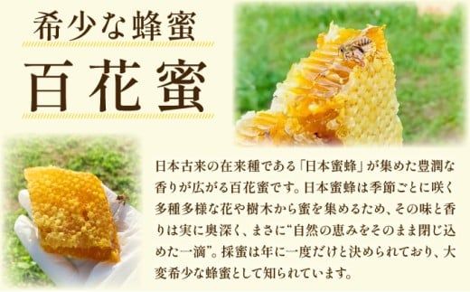 【内容量が選べる】日本蜜蜂の純粋はちみつ 500g～600g または 日本蜜蜂の蜜蝋 350g