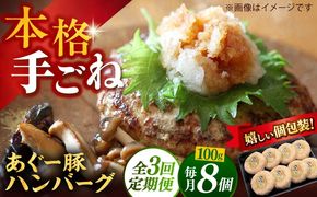 【全3回定期便】沖縄県産あぐー豚ハンバーグセット 800g (100g×8個) 豚 ハンバーグ 冷凍 ギフト お取り寄せ 沖縄市 / お肉屋本店[BCAZ009]